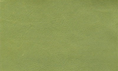 Anilin Læder - Grøn (helt hud)