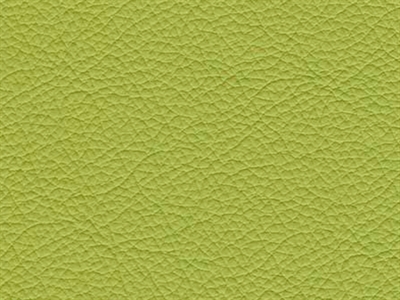 Dækfarvet Læder (Lime)